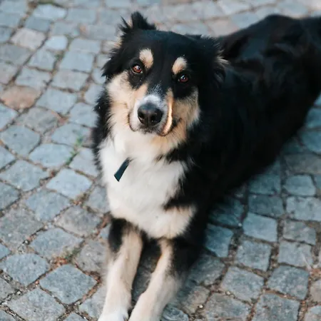 Cascina Bringin Apartman *