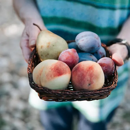 Cascina Bringin Mondovì
